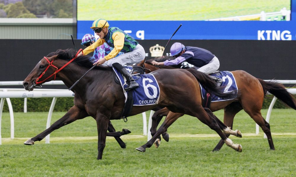 展至关重要 展至关重要